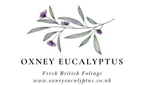 Oxney Eucalyptus Gift Card