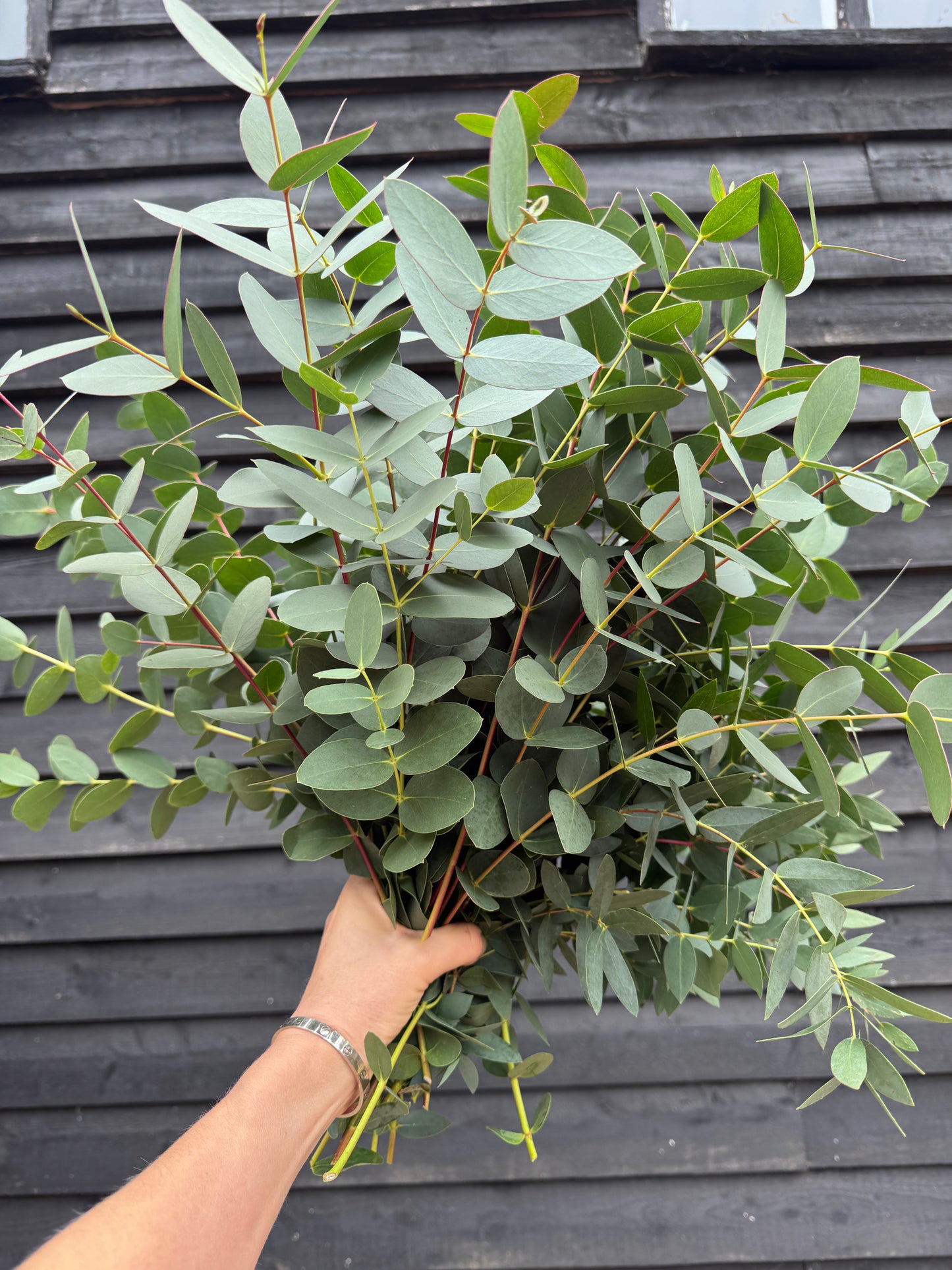 Eucalyptus wreath box