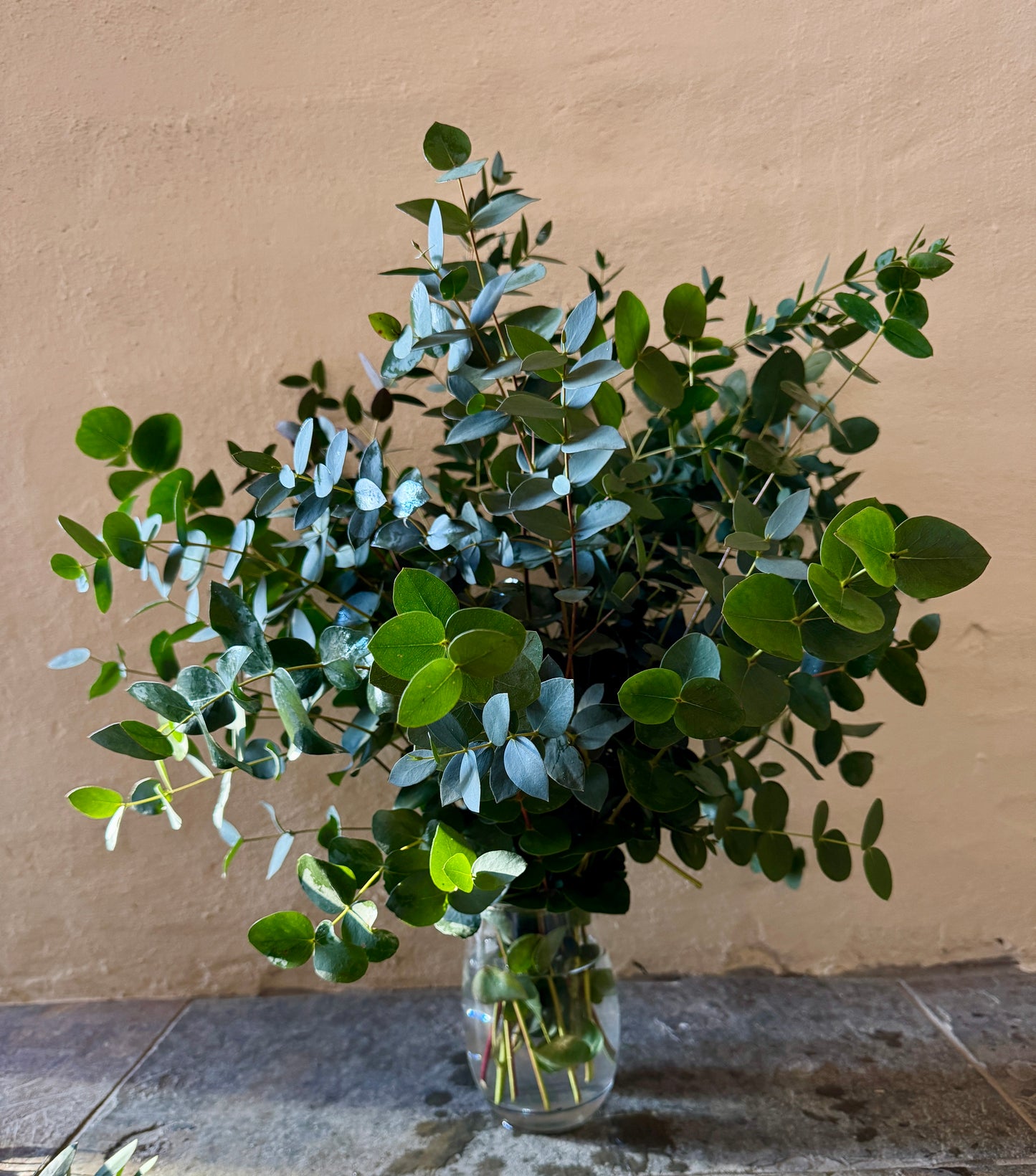 300g bunch of Mixed Eucalyptus